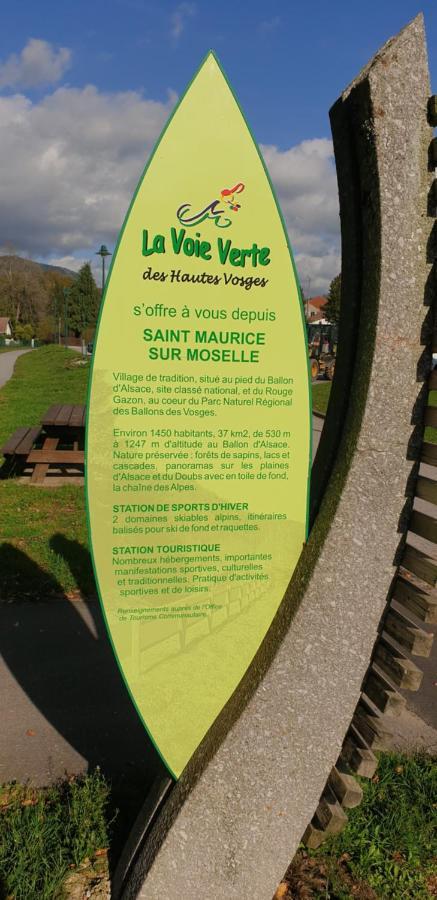 Au Bonheur Fait Maison Bed and Breakfast Saint-Maurice-sur-Moselle Exterior foto